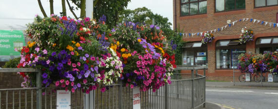 Flowers in Swanley