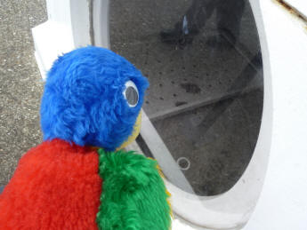 Thames Barrier - Blue Parrot with diving bell