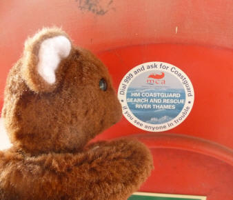 Brown Teddy reading sign