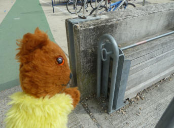 Yellow Teddy looking at flood gate