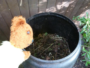 Yellow Teddy with compost bins