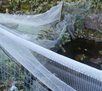 Frosty pond netting