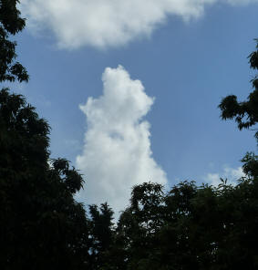 Building storm cloud