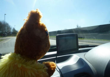 Yellow Teddy with satnav