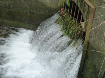 River Cray outlet gushing