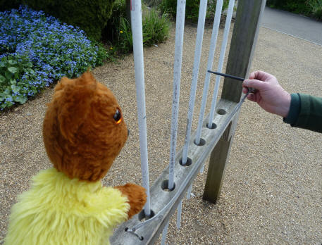 Yellow Teddy with the music bars