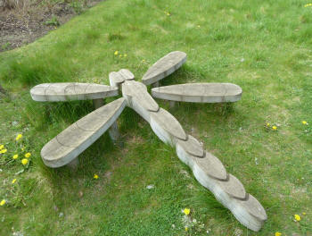 Dragonfly wooden seat