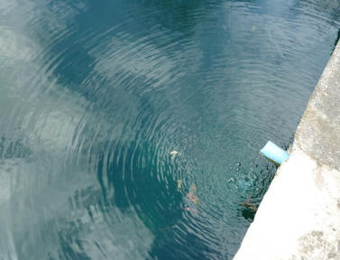 Boating pond ripples