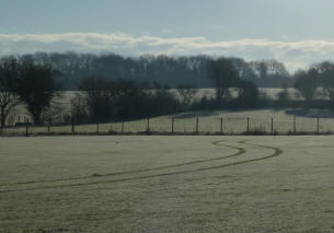 Boot fair frosty grass