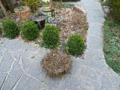 Snowdust on garden paths