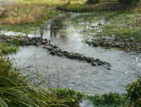 River and boggy pond