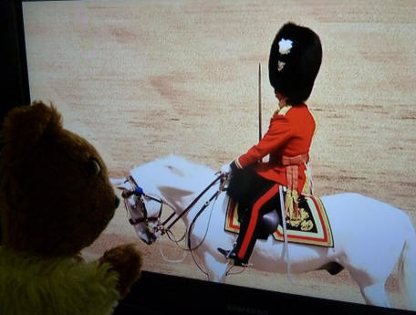 Trooping of the Colour white horse