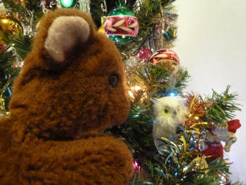 Brown Teddy with owl decoration