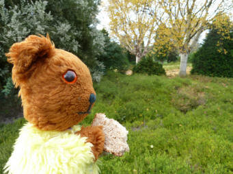 Yellow Teddy with snack