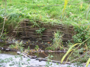 Hall Place hurdles on river bank