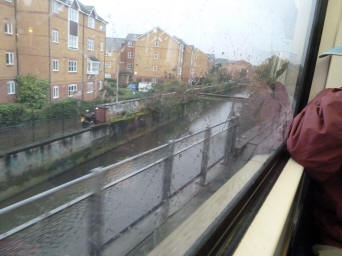 River quaggy from train