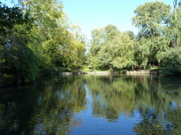 Tarnwood lake