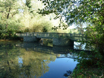 Lake bridge