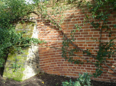 Wall with sloping bricks