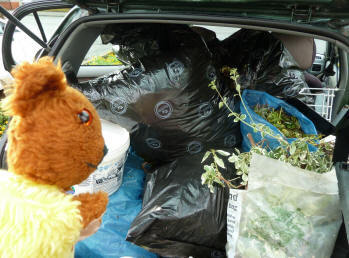 Car full of garden rubbish for the dump