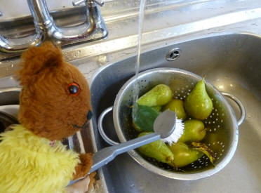 Scrubbing the pears