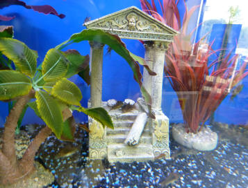 Aquarium temple ornament