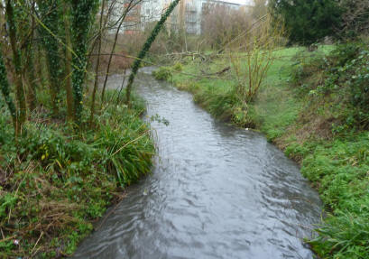 River flowing high