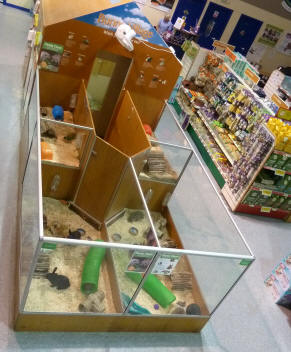 Bunny Village in pet shop