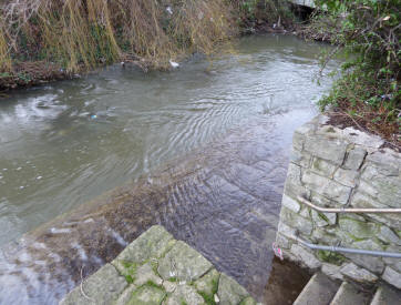 River Darenth