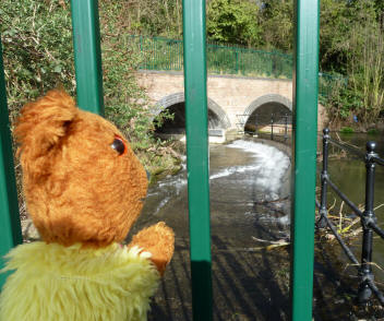 River Darent overflowing