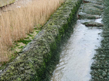 New foreshore with gabions