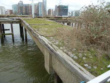 Grassed areas on old jetty