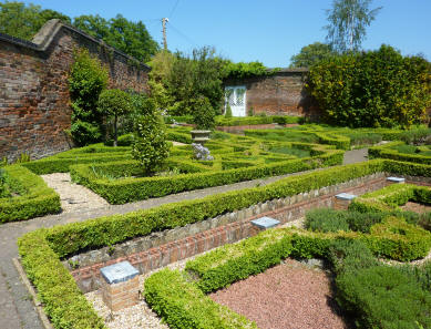 Victorian Garden box hedging