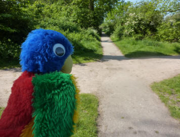 Stockwood Park paths