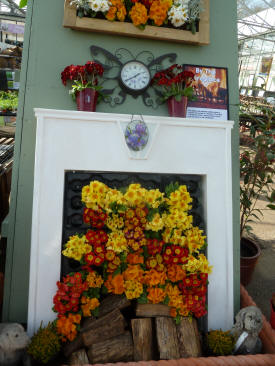 Thompsons - polyanthus fireplace