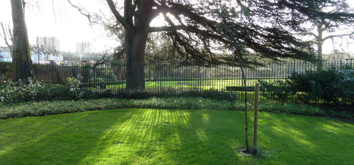 Well Hall long winter shadows on grass