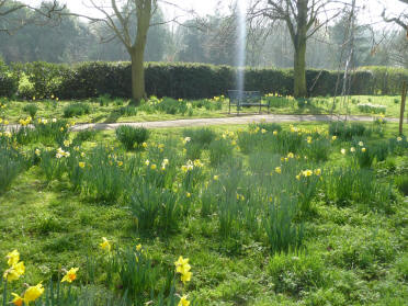 Well Hall daffodils