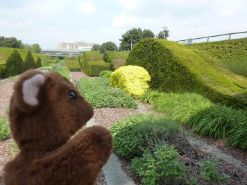 Thames Barrier park hedges