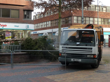 Shredding Christmas tree