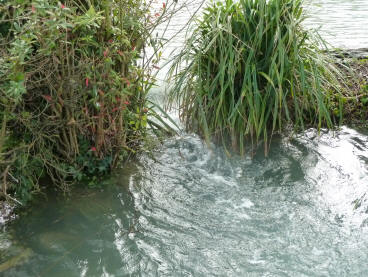 Priory Park weir