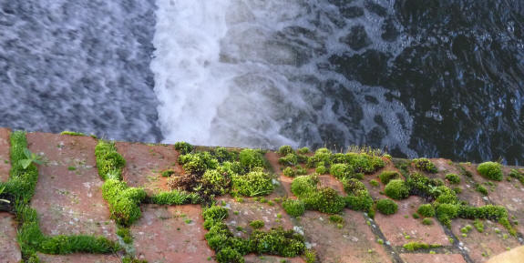 Mossy wall with river weir below