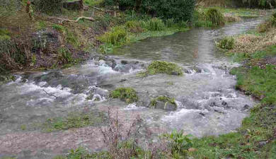 River Cray weir