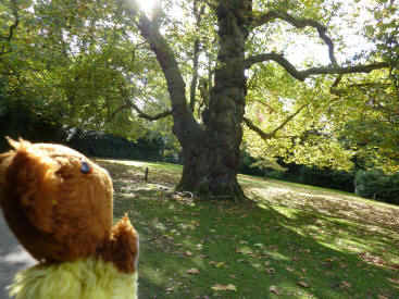 Kelsey Park