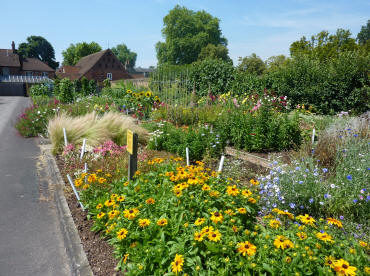 Hall Place cut flower garden