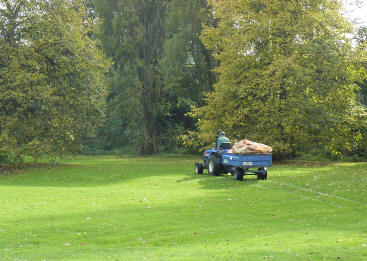 Gardener's truck collecting leaves