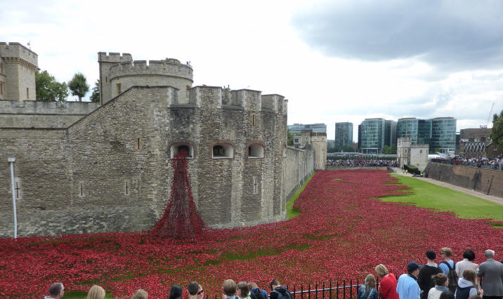 Ceramic poppies at the Tower of London