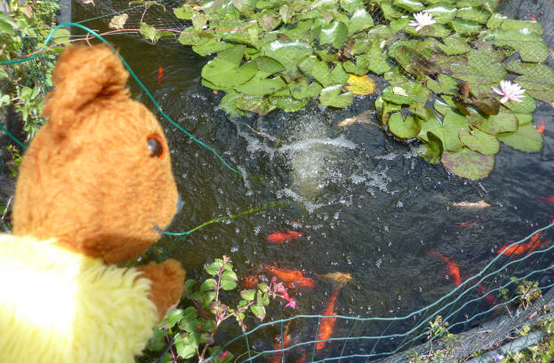 Aerated pond