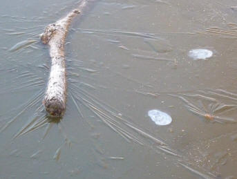 Frozen puddle