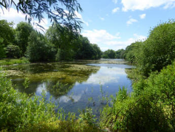 Battersea Park