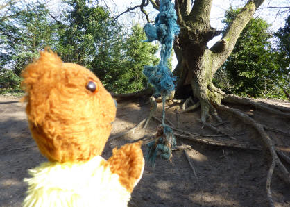 Old trackway, rope on tree